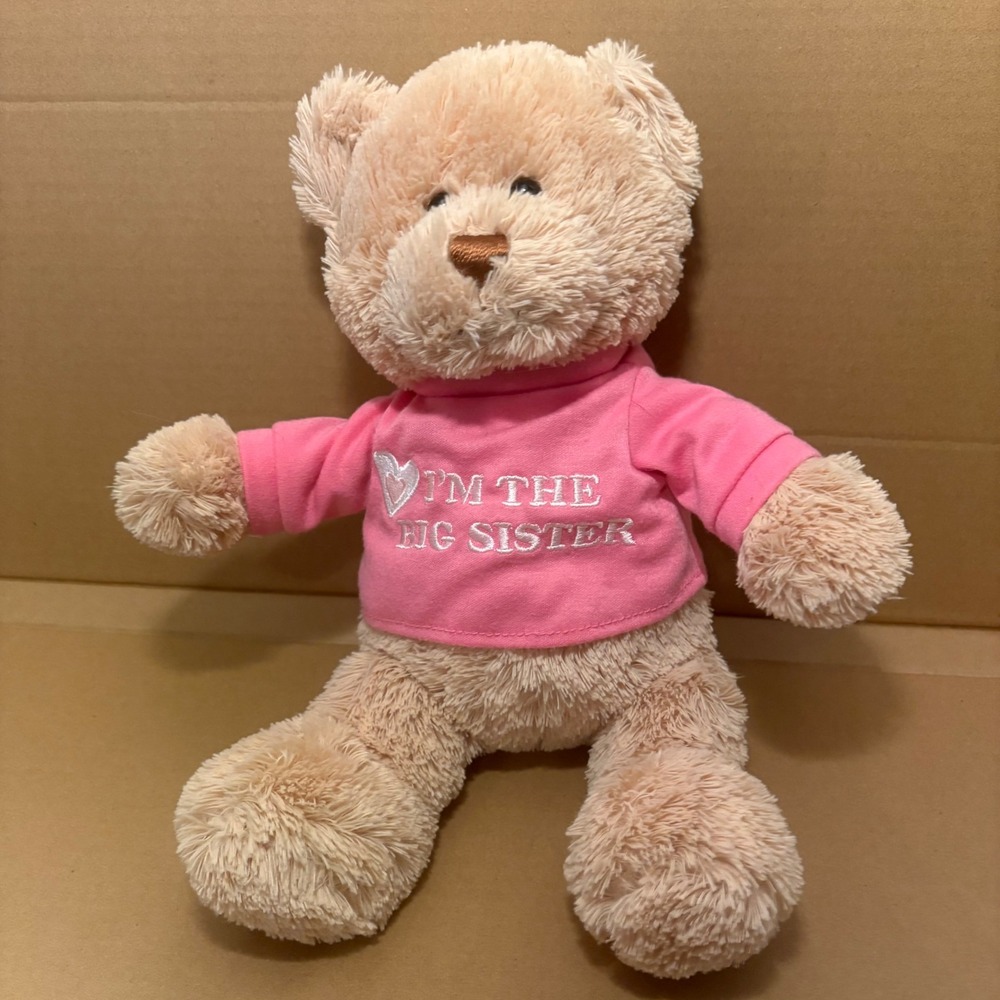 Gund I'm The Big Sister Teddy Bear Plush Stuffed Animal Toy‎ Gift Pink Shirt